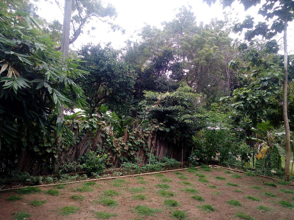 סיגירייה Thuruliya Residence מראה חיצוני תמונה